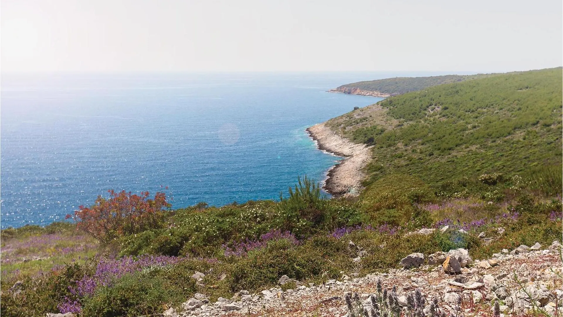 Holiday home Amazing Home In Pula With House Sea View